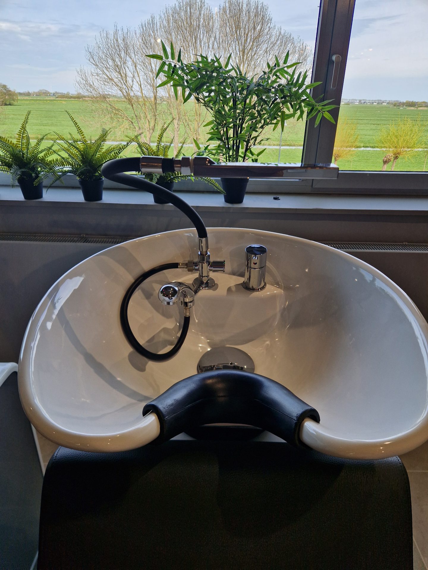 Hair Spa – Image 3